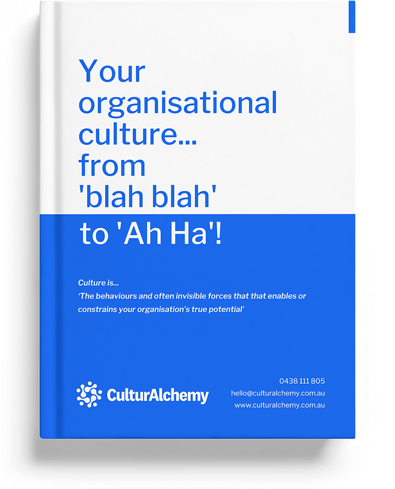 Cover of the free downloadable culture guide